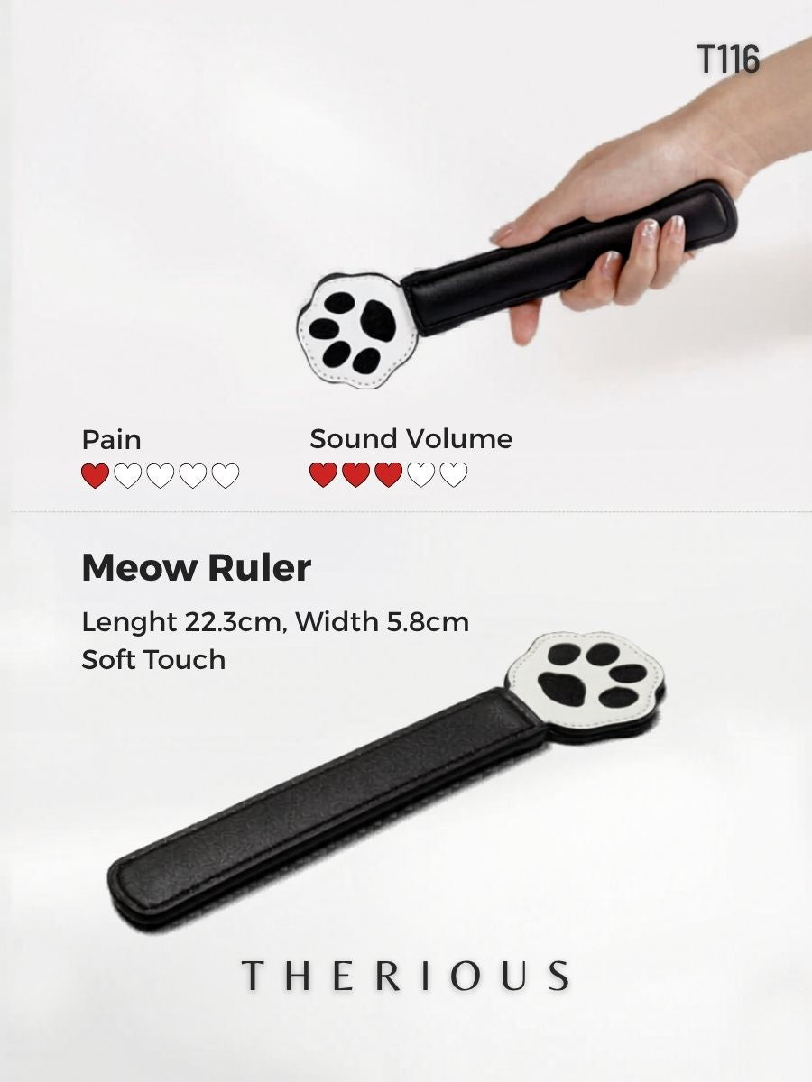Intimate Touch Spanking Paddle T116 [Ready Stock]