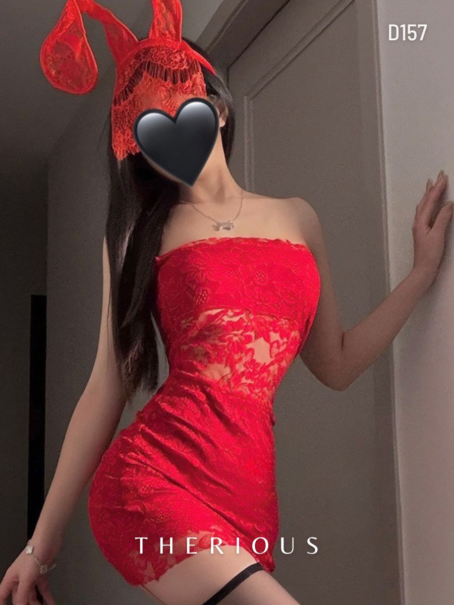 Rose Lace Dress Lingerie D157 [Preorder]